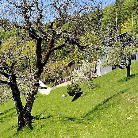 Lausegger Ferlach