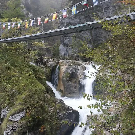 Lausegger 弗拉奇