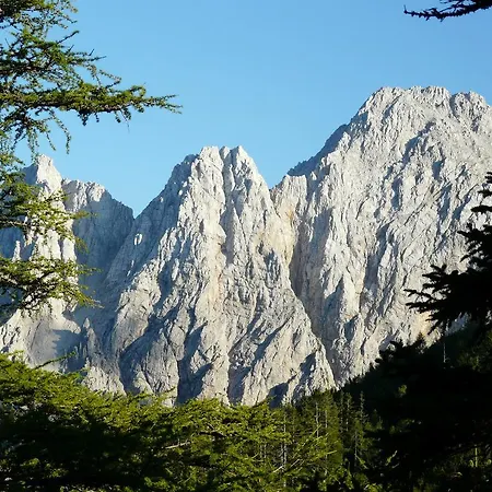 Bed & Breakfast Lausegger Ferlach